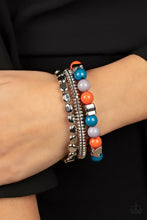 Load image into Gallery viewer, Tour de Tourist  - Multi Bracelet
